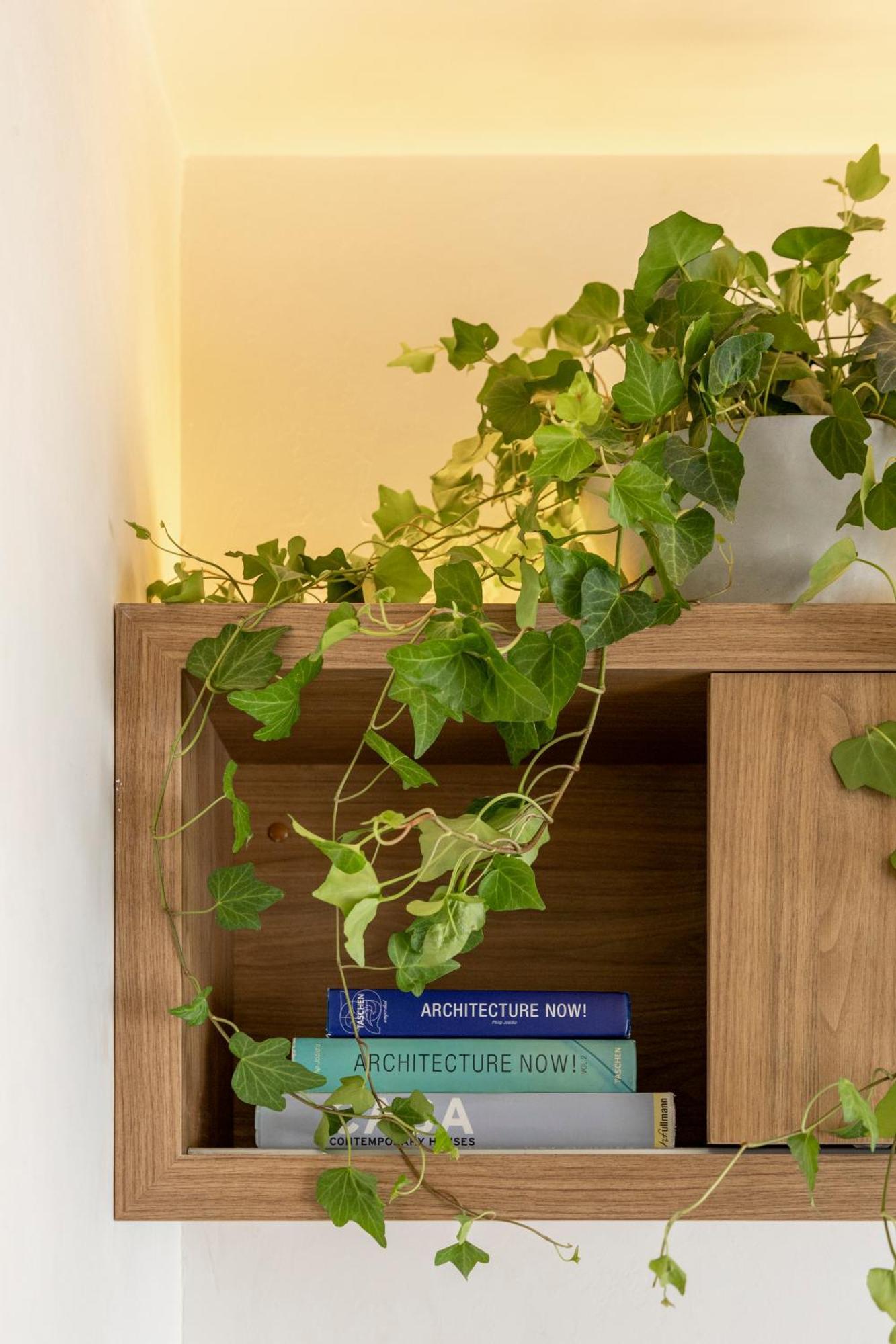 Ibirapuera - Design & Confort Apartment *
